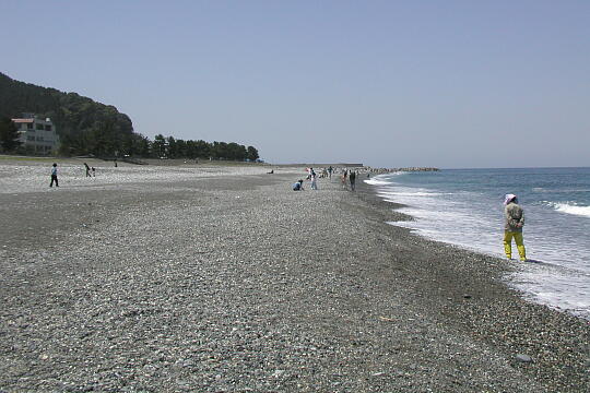 /pref-toyama/nyuzen/g050503/miyazaki-kaiganP5032137.JPG 宮崎海岸 の写真(83) 2005年05月03日