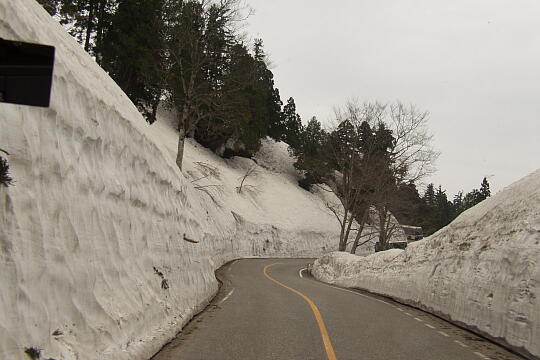 立山有料道路（５月） の写真(85) 2006年05月06日