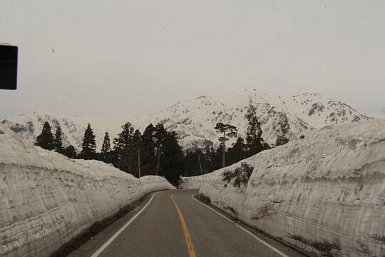 立山有料道路（５月） の写真(86) 2006年05月06日
