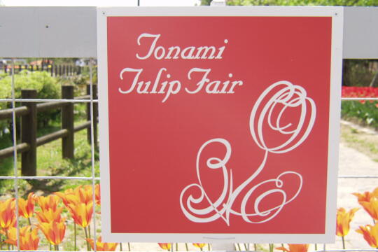 /pref-toyama/tonami/g060506/tulip-iP5066776.JPG となみチューリップフェア(4) の写真(82) 2006年05月06日