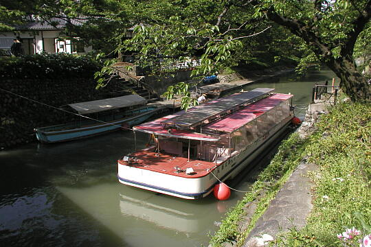 /pref-toyama/toyama/g050503/matsukawa-funeP5032091.JPG 松川遊覧船(富山観光遊覧船) の写真(80) 2005年05月03日