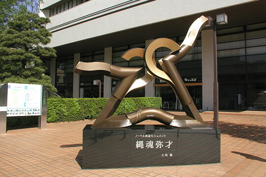 /pref-toyama/toyama/g050503/nobel-kaidoP5032090.JPG の写真(84) 2005年05月03日
