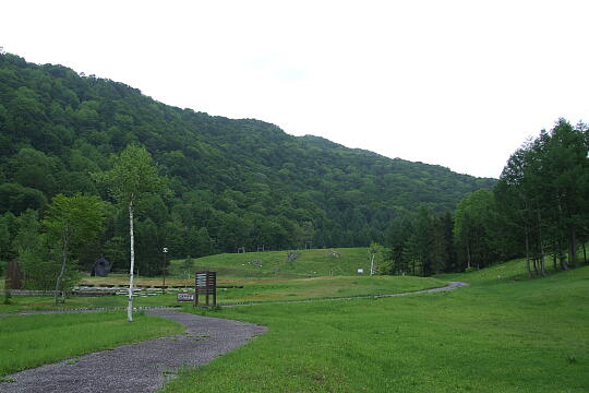 有峰森林文化村 の写真(85) 2008年06月07日
