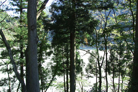 /pref-toyama/unazuki/g091012/dai2-tenboDSCF1021.JPG うなづき湖 第2展望広場 の写真(83) 2009年10月12日