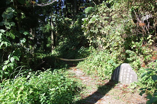 /pref-toyama/unazuki/g091012/yatazo-tsuribashiDSCF1208.JPG 弥太蔵吊橋 の写真(82) 2009年10月12日