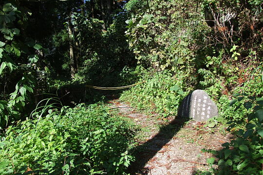/pref-toyama/unazuki/g091012/yatazo-tunnelDSCF1206.JPG 弥太蔵トンネル の写真(85) 2009年10月12日