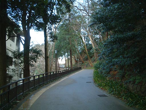 /sv-kenroku/gazo512/gazo011223/jo-imori007.jpg