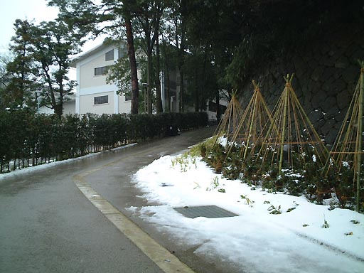 /sv-kenroku/gazo512/gazo020106/jo-imori139.jpg