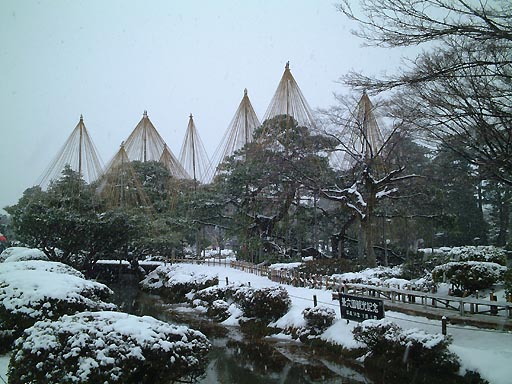 /sv-kenroku/gazo512/gazo020106/ken-karasakimatsu-snow053.jpg