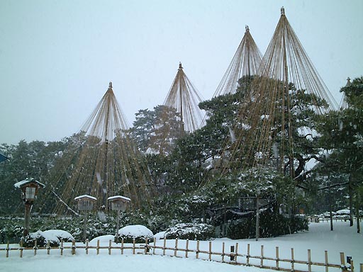 /sv-kenroku/gazo512/gazo020106/ken-karasakimatsu-snow066.jpg