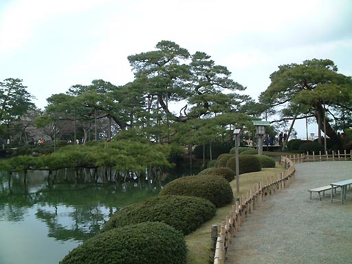 /sv-kenroku/gazo512/gazo020330/ken-karasakimatsu042.jpg