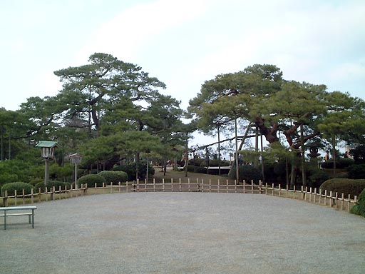 /sv-kenroku/gazo512/gazo020330/ken-karasakimatsu044.jpg