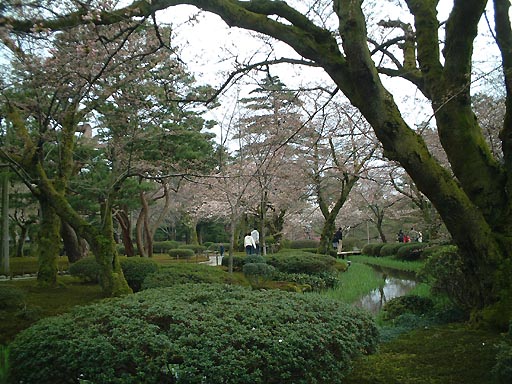 /sv-kenroku/gazo512/gazo020330/ken-kyokusui046.jpg