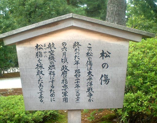 /sv-kenroku/gazo512/gazo020811/ken-matsunokizu056.jpg