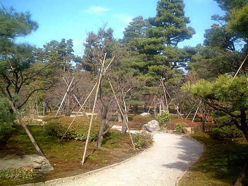 /sv-kenroku/gazo512/gazo021124/ken-bairin687.jpg