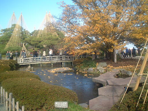 /sv-kenroku/gazo512/gazo021124/ken-kibashi608.jpg