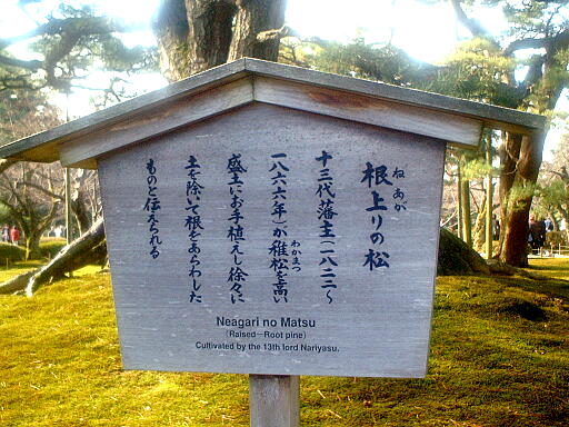/sv-kenroku/gazo512/gazo021124/ken-neagarinomatsu581.jpg