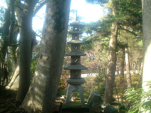 /sv-kenroku/gazo512/gazo021124/ken-omuronoto536.jpg