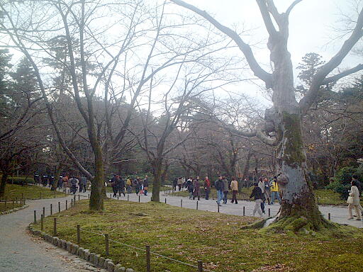 /sv-kenroku/gazo512/gazo021124/ken-sakuragaoka803.jpg