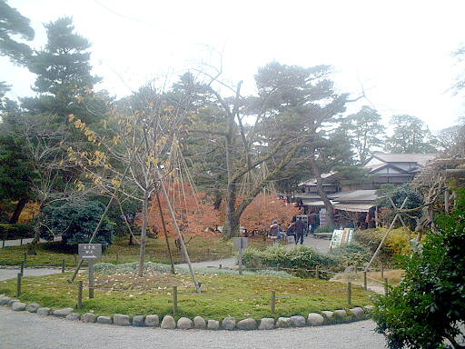 /sv-kenroku/gazo512/gazo021124/ken-sakuragaoka809.jpg
