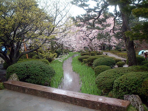 /sv-kenroku/gazo512/gazo030412/ken-chitosebashi4980.jpg
