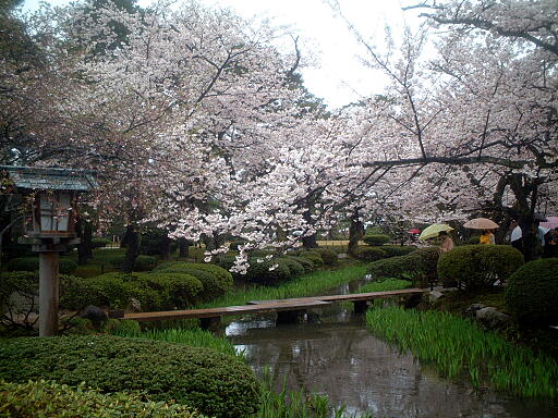 /sv-kenroku/gazo512/gazo030412/ken-itabashi5028.jpg