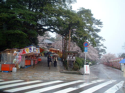 /sv-kenroku/gazo512/gazo030412/ken-katsurazaka4939.jpg