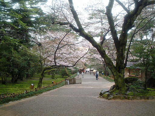 /sv-kenroku/gazo512/gazo030412/ken-mayumizaka5054.jpg
