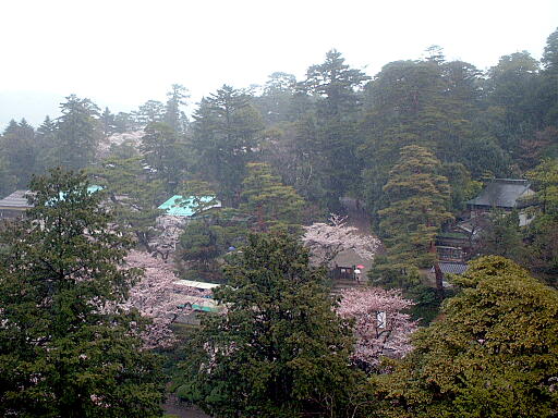 /sv-kenroku/gazo512/gazo030412/ken-renchimon4910.jpg