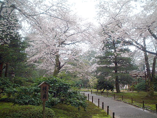 /sv-kenroku/gazo512/gazo030412/ken-sakuragaoka4966.jpg