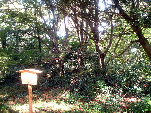 /sv-kenroku/gazo512/gazo031123/jo-honmaru7169.jpg