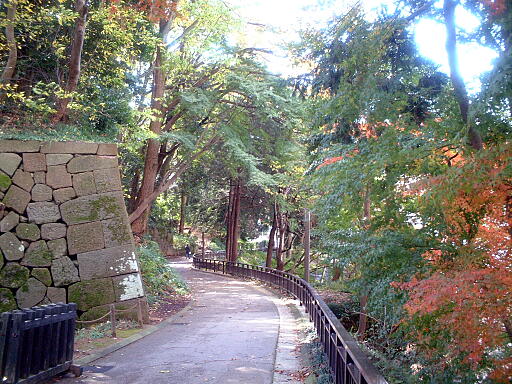 /sv-kenroku/gazo512/gazo031123/jo-imori7194.jpg