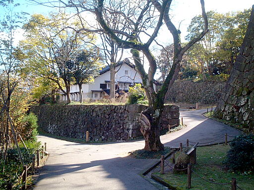 /sv-kenroku/gazo512/gazo031123/jo-tsurumaru7152.jpg