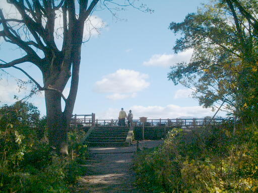 /sv-kenroku/gazo512/gazo031123/jo-ushitora7158.jpg