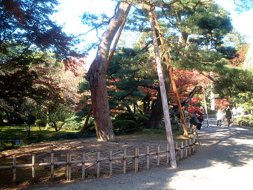 /sv-kenroku/gazo512/gazo031123/ken-meotomatsu7056.jpg