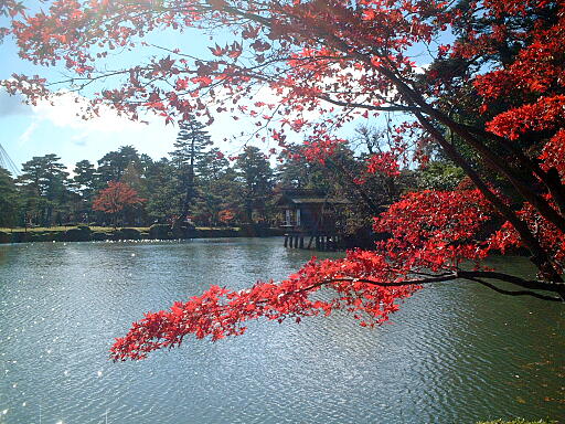 /sv-kenroku/gazo512/gazo031123/ken-uchihashitei7044.jpg