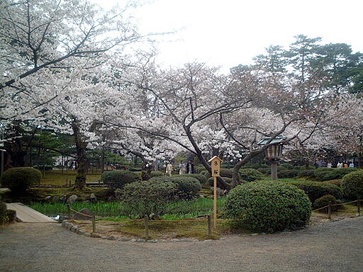 /sv-kenroku/gazo512/gazo040403/ken-itabashi8140.jpg