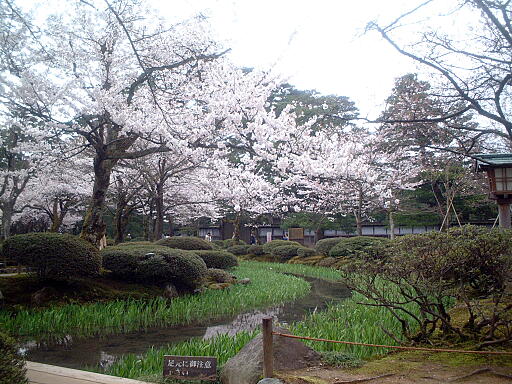 /sv-kenroku/gazo512/gazo040403/ken-itabashi8142.jpg