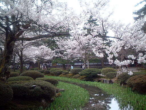 /sv-kenroku/gazo512/gazo040403/ken-kyokusui8145.jpg