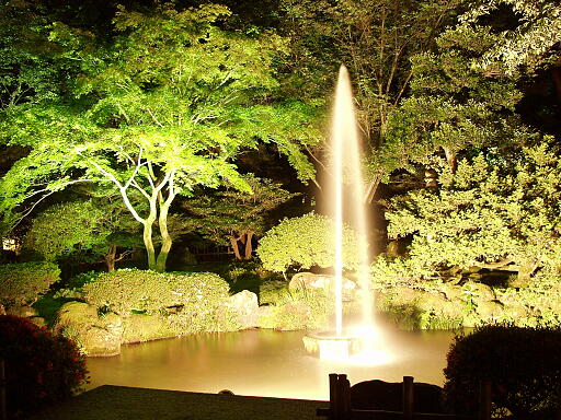 /sv-kenroku/gazo512/gazo040613/ken-funsui-night0232.jpg
