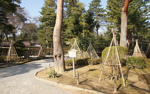 /sv-kenroku/gazo640/gazo20130317/heiseiDSC08658.JPG
